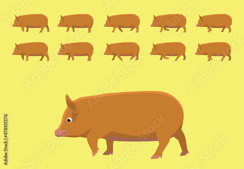 Pig Tamworth Walking Animation Cartoon Vector Illustration