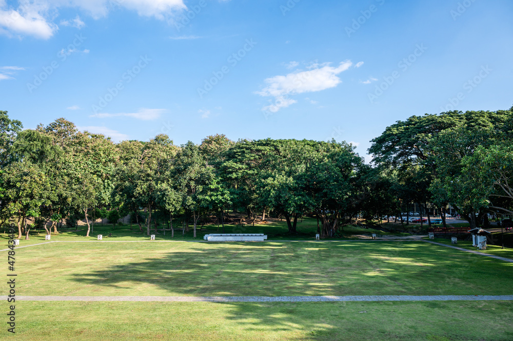 Obraz premium Public park, parkland with trees and blue sky