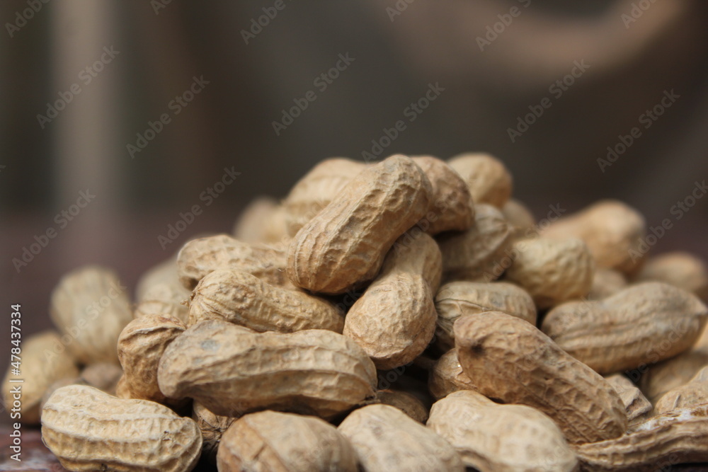 Bunch of fresh unroasted peanuts