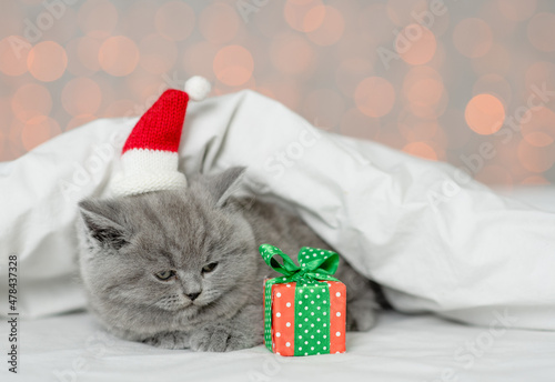 Fluffy kitten wearing red santa hat lying under white blanket on festive background with gift box
