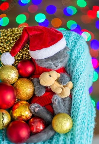 Cute kitten wearing warm sweater and santa hat sleeps inside basket and hugs toy bear. Top down view