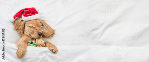 Cute English Cocker spaniel puppy wearing red santa hat hugs toy bear and sleeps under white blanket at home. Top down view. Empty space for text