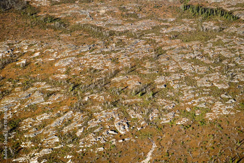 Boreal Forest Nunavik Quebec Canada Boreal Forest Nunavik Quebec Canada