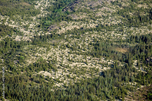 Boreal Forest Nunavik Quebec Canada
