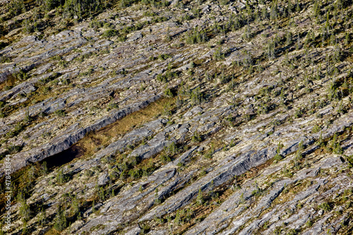 Boreal Forest Nunavik Quebec Canada