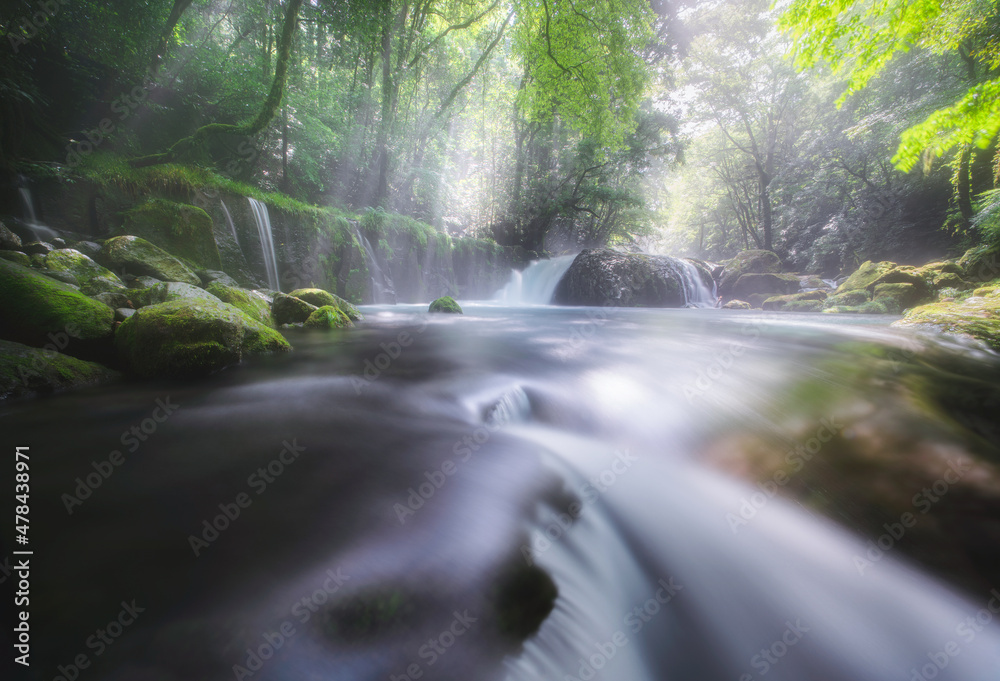 Obraz premium 菊池渓谷