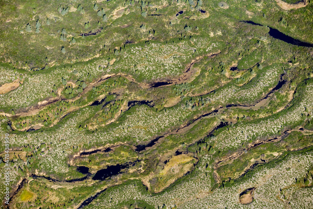 Lakes Dotting a Boreal Forest Landscape Nunavik Quebec Canada