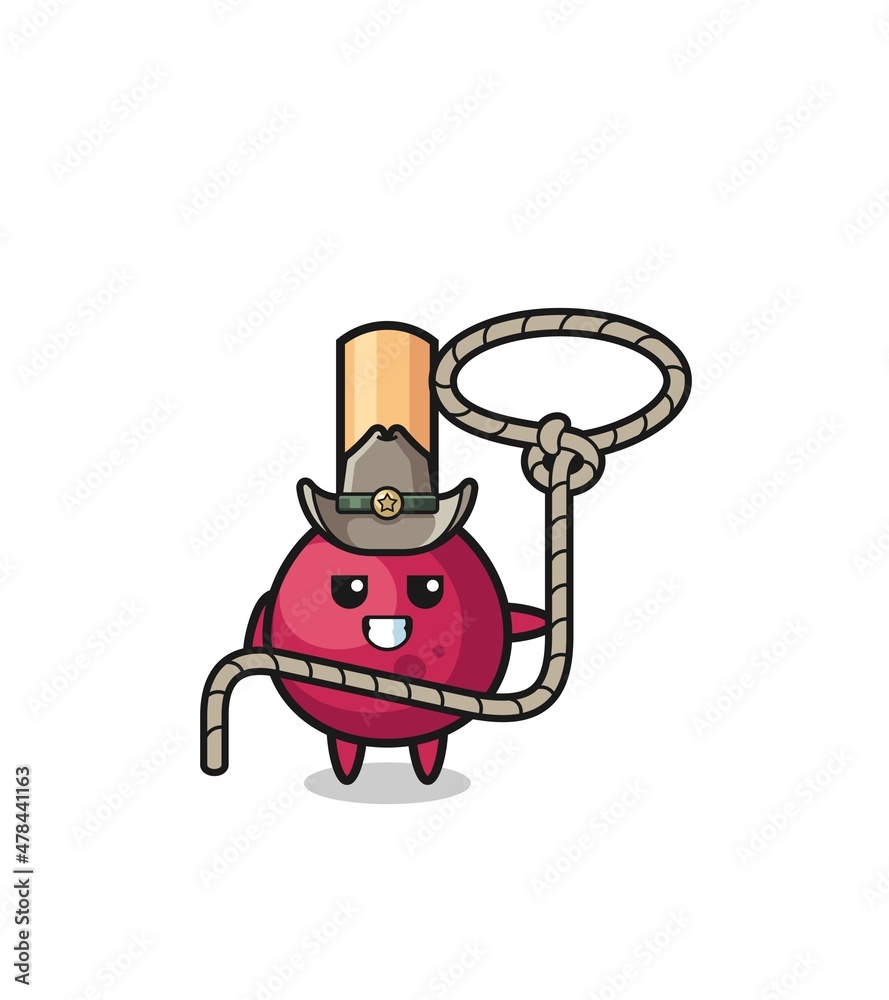 the matches cowboy with lasso rope the matches cowboy with lasso rope