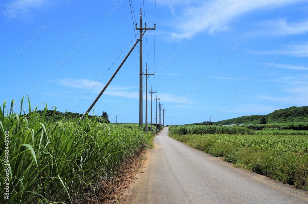 宮古島　さとうきび畑の一本道