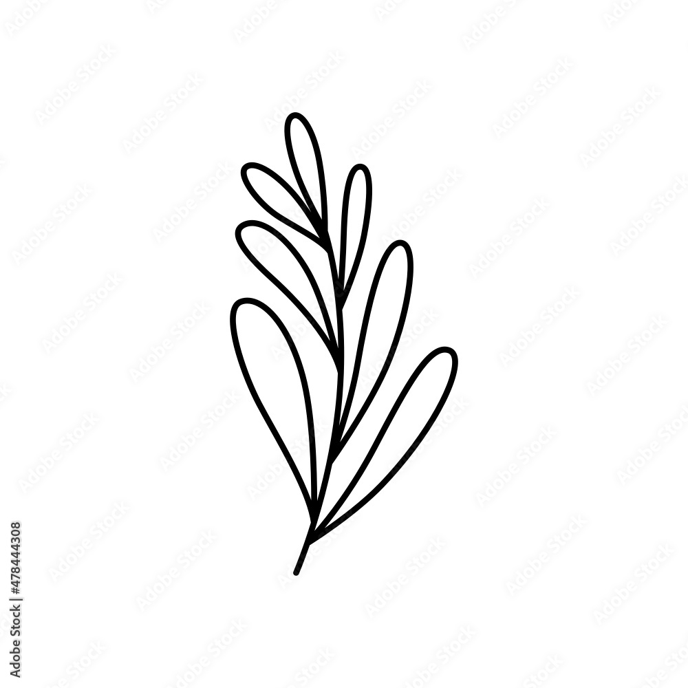 Hand drawn leaves illustration