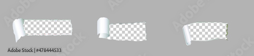 Torn paper edge vector illustration. Teared, ripped photo, sheet or page texture.