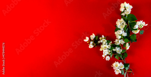 Happy Valentine's day! Card, online banner, greeting card, Flat lay on Valentine's Day, Beautiful White Jasmine Flowers