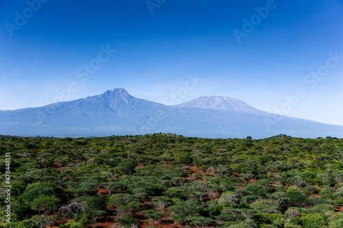 Scrubland Desert Kilimanjaro. Tsavo West. Kenya. Fototapeta