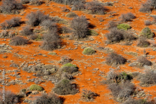 Scrubland Desert Tsavo West. Kenya.