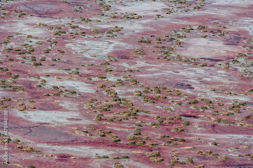 Canvas Print Flamingo Nests Lake Natron Tanzania