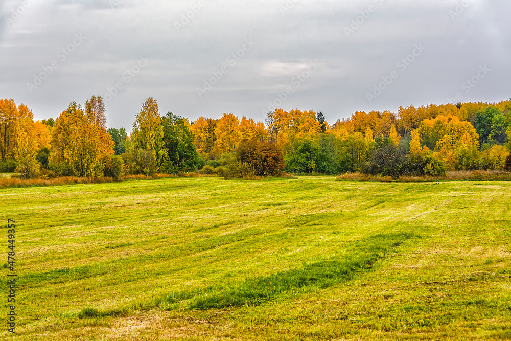 Autumn landscape during golden autumn in the Leningrad region.