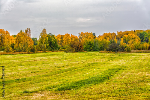 Autumn landscape during golden autumn in the Leningrad region.