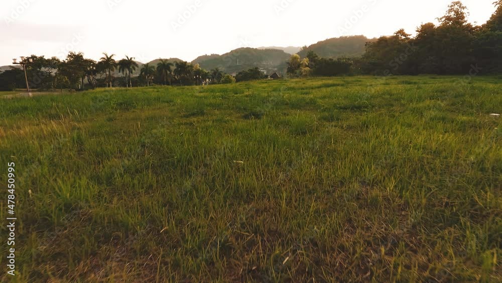 low flying drone revealing a house in the middle of a forest with mountain background and green grass to introduce interest or anxiety depending on your film context low flying drone revealing a house in the middle of a forest with mountain background and green grass to introduce interest or anxiety depending on your film context