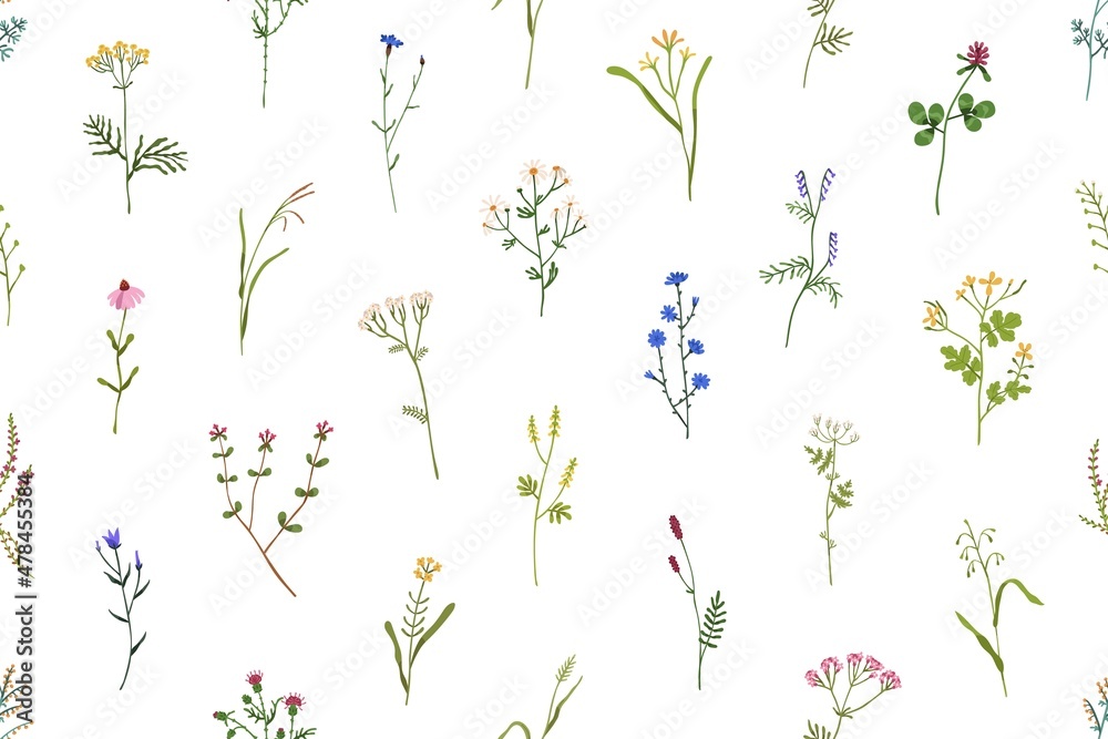 Seamless floral pattern. Wild flowers and herbs background. Romantic botanical print with field blooms. Repeating texture for wrapping and textile. Colored flat vector illustration for decoration - obrazy, fototapety, plakaty 