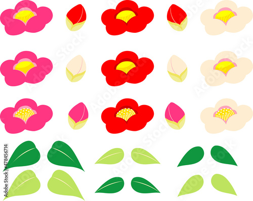 椿の花と蕾と葉のイラスト素材セット