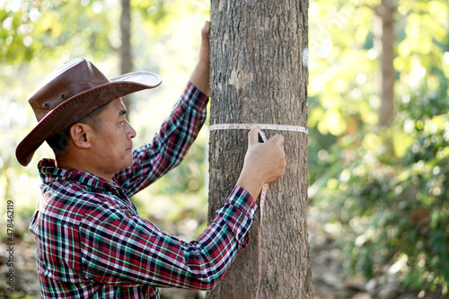 Obraz na plátně Asian male botanist is measuring trunk of tree to analysis and research about growth of tree