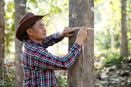 Fotografie, Obraz Asian male botanist is measuring trunk of tree to analysis and research about growth of tree