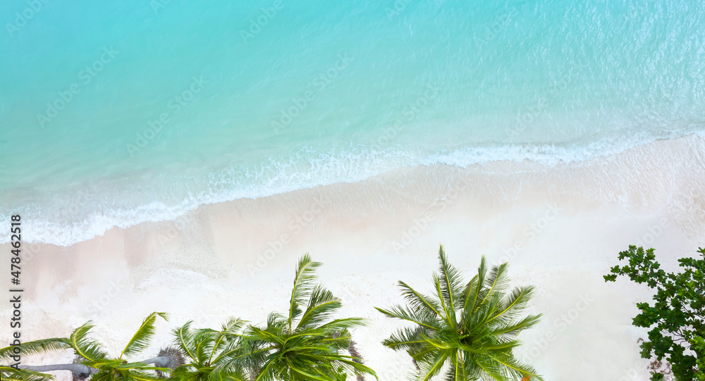 Aerial view of Sunny tropical beach background with palm trees and white sand beach seashore