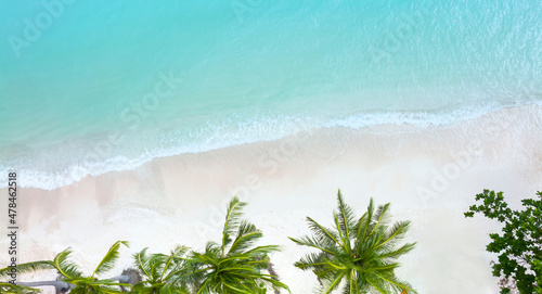 Aerial view of Sunny tropical beach background with palm trees and white sand beach seashore