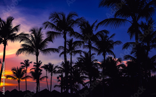 beautiful sunset of the caribbean
