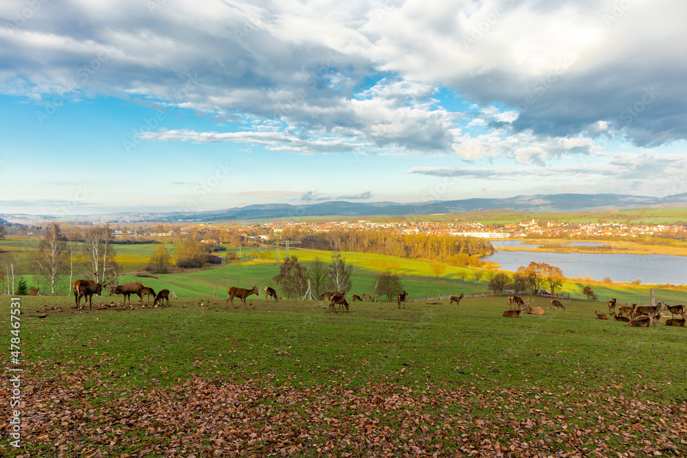 Obraz premium Erkundungstour durch das schöne Werratal an einem kalten Wintertag - Breitungen - Seeblick