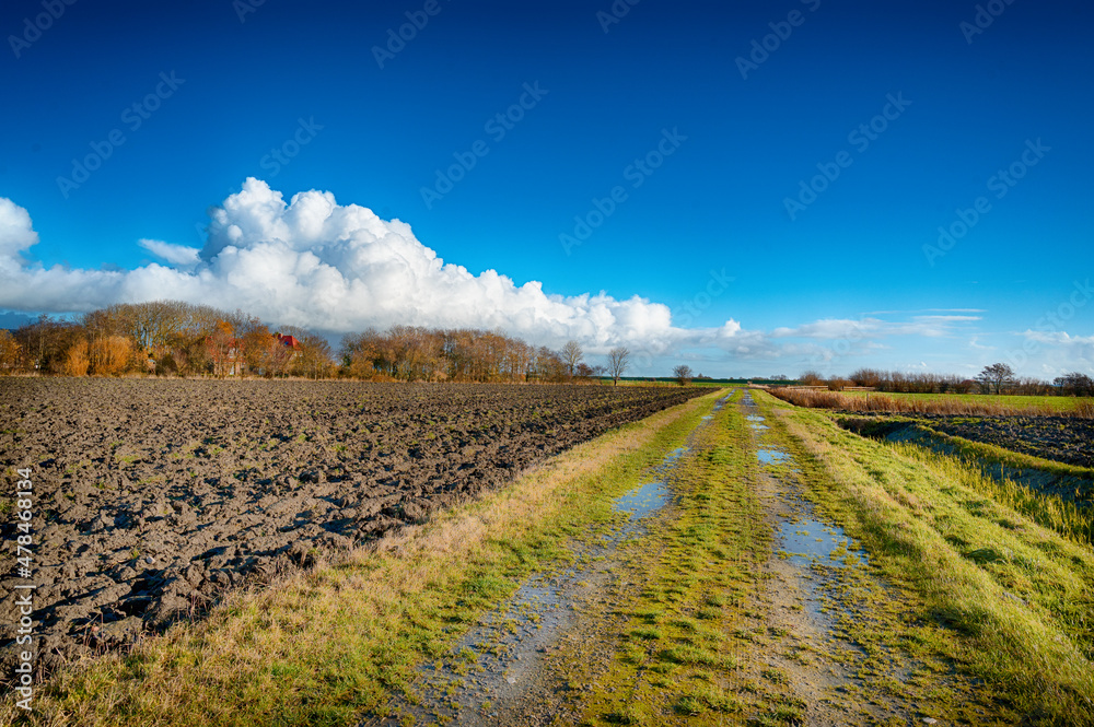 Naklejka premium Landwirtschaftliche flächen