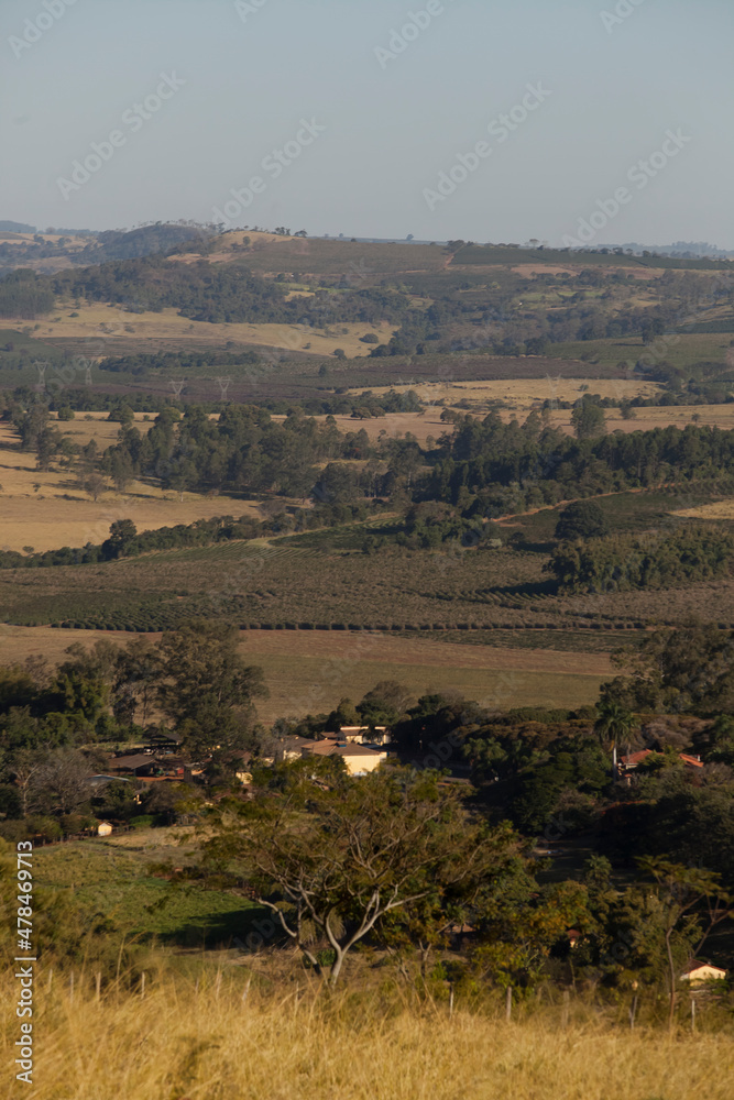 View of a coffee plantation in brazil, south america.