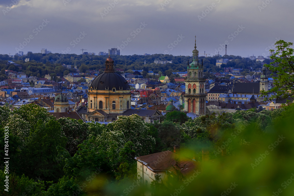 Europe medieval historical city, travel pilgrimage destination, cathedral and town hall tower building architecture object from aerial point of view with unfocused foliage foreground