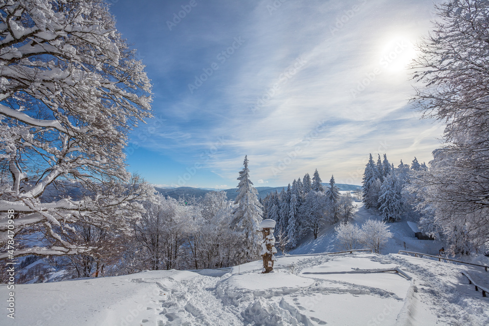 Obraz premium Winterlandschaft