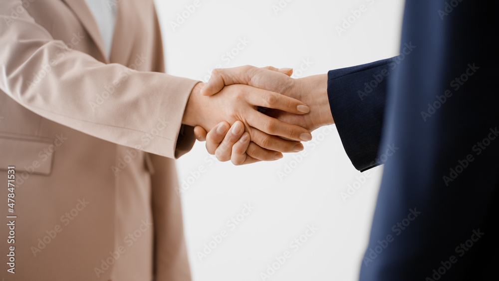 Fototapeta premium 握手をするビジネスマンとビジネスウーマン