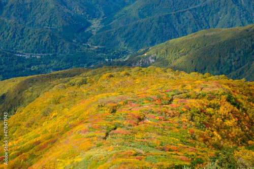 美しい日本の秋の山