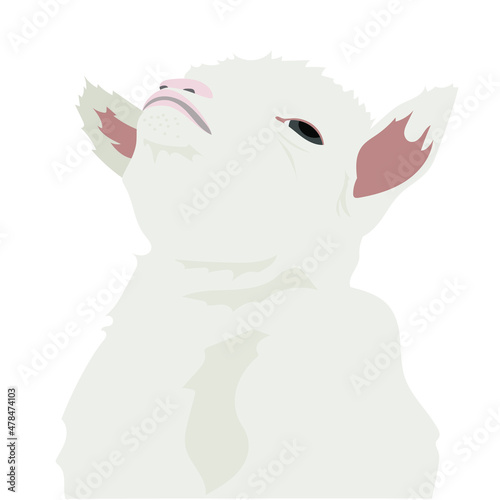 Vectorized illustration of goat meme