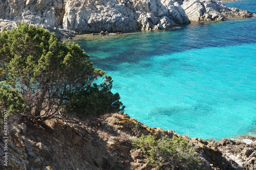 Clear crystal water in a small inlet of the Asinara Island, Northern Sardinia, Italy