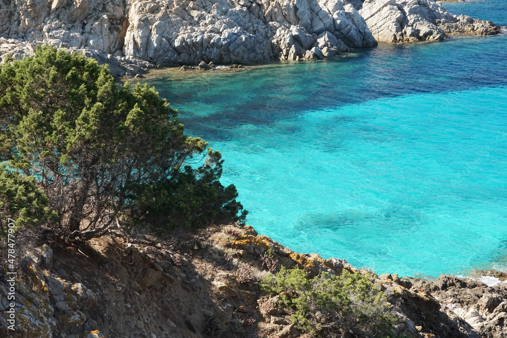 Clear crystal water in a small inlet of the Asinara Island, Northern Sardinia, Italy Clear crystal water in a small inlet of the Asinara Island, Northern Sardinia, Italy