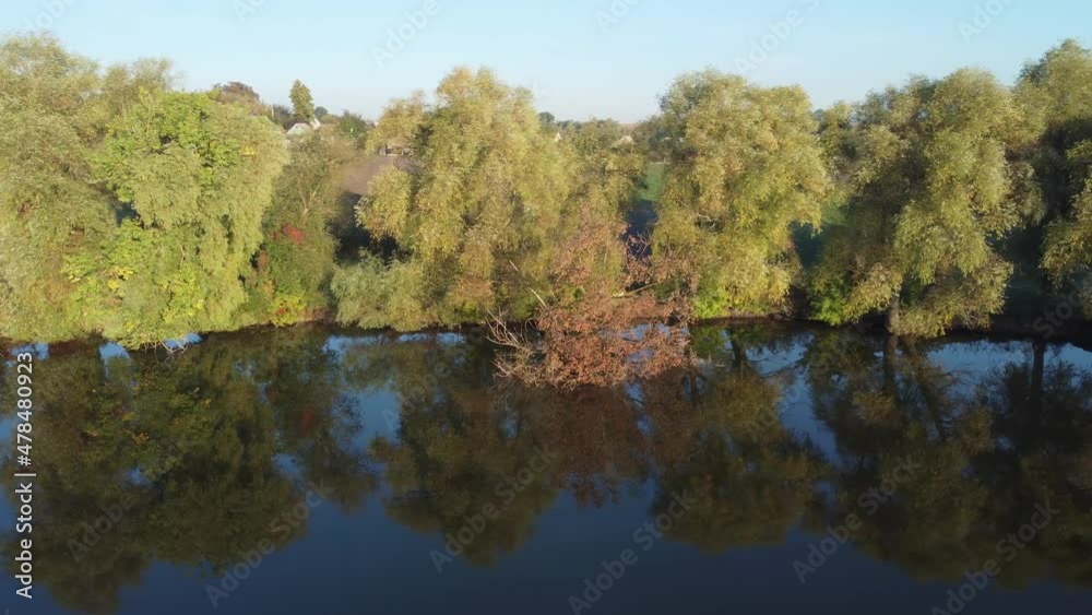 Willows and other trees on pond shore, aerial view Willows and other trees on pond shore, aerial view