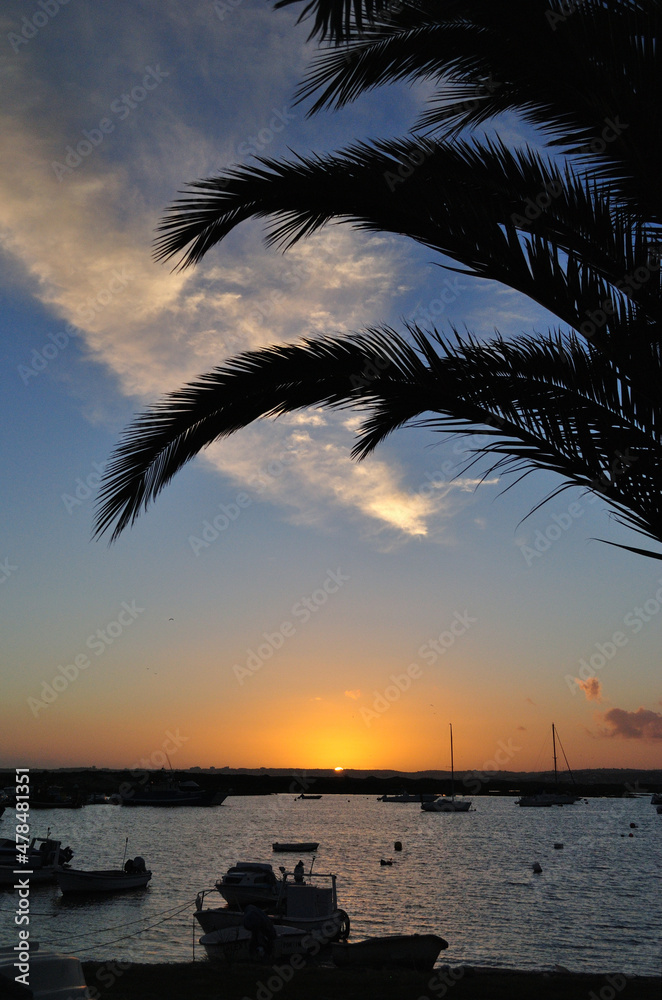 View of Boats in Harbour at Sunset 