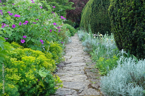 Stone path in a garden with colourful flowers and leafy plants