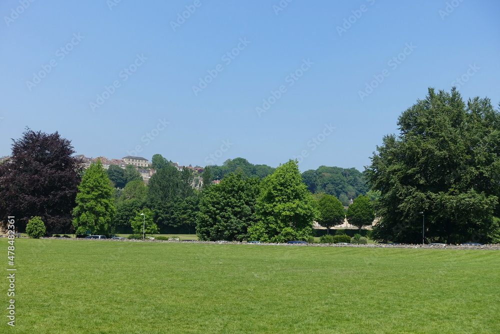 Grass lawn and leafy trees in a park