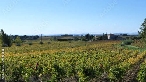 The vineyard landscape at Vacqueyras in autumn. South of France, Vaucluse, France, the 22th October 2021. photo