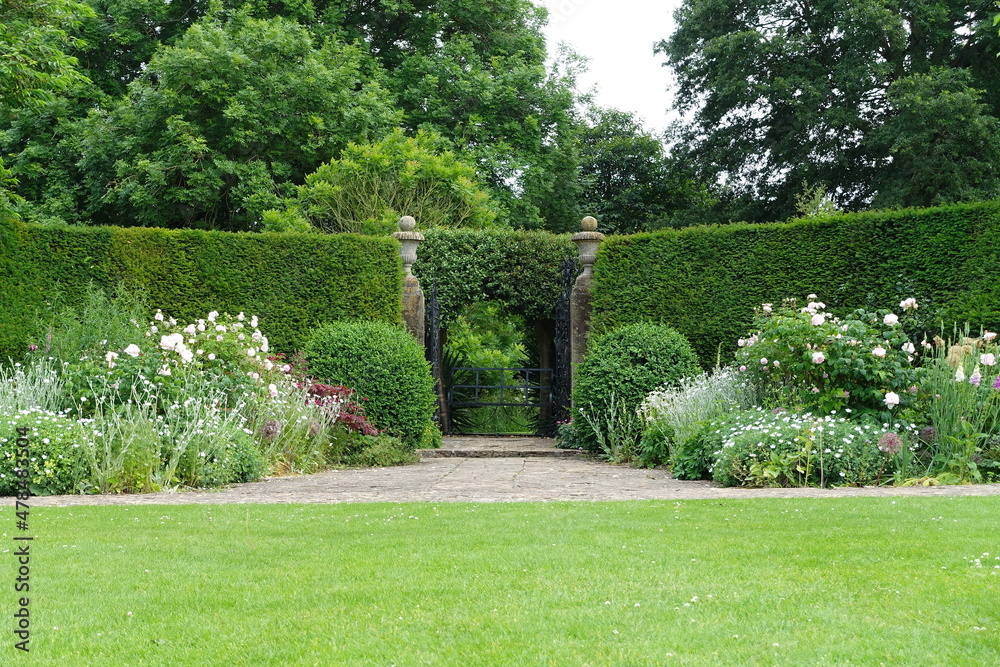 Scenic view of a beautiful green garden Scenic view of a beautiful green garden