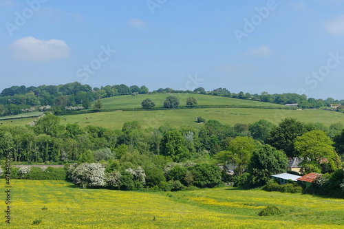 landscape with fields and blue sky
