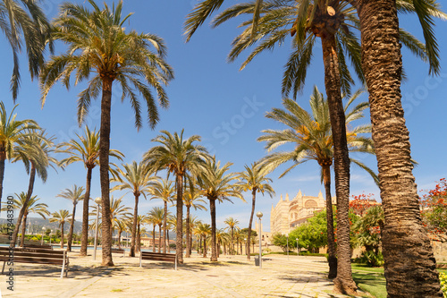 Palma de Majorca  Spain