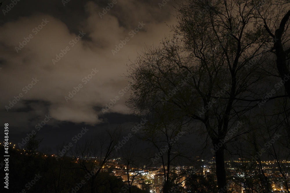Trees at night in winter Trees at night in winter