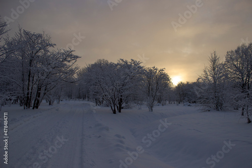 sunrise in the snow © Edite