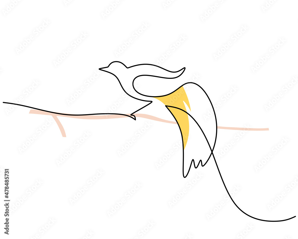 Obraz premium One continuous single line of Cendrawasih. Famous bird line art isolated on white background.